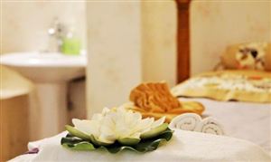 2024-2029金融租赁行业现状研究及发展趋势(图2)