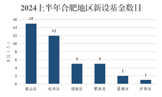合肥“投融资半年报”出炉：LP出资总规模357亿元新设40支基金(图2)