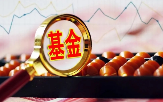 2024基金为何狂跌不止？(图1)