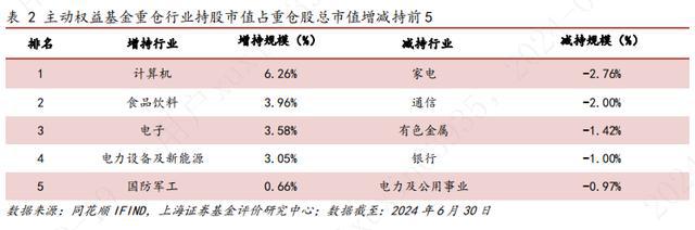 上海证券2024年基金市场半年报——权益基金(图11)