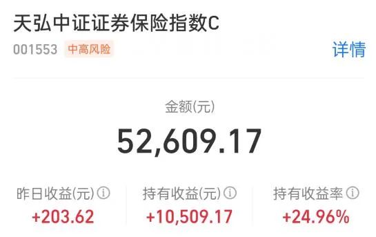 20241026十月份基金定投简报(图4)