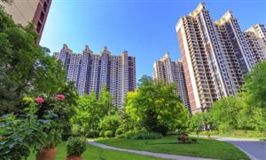租赁行业市场调查分析2024：年轻人爱上租赁消费行业或成为新的消费热点(图2)