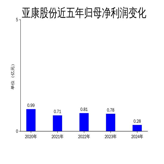 亚康股份2024年财报：营收利润双降算力租赁业务成亮点(图2)