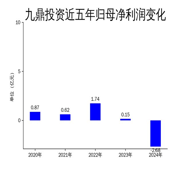 九鼎投资2024年年报：营收增长但净利润巨亏私募股权投资业务面临挑战(图2)