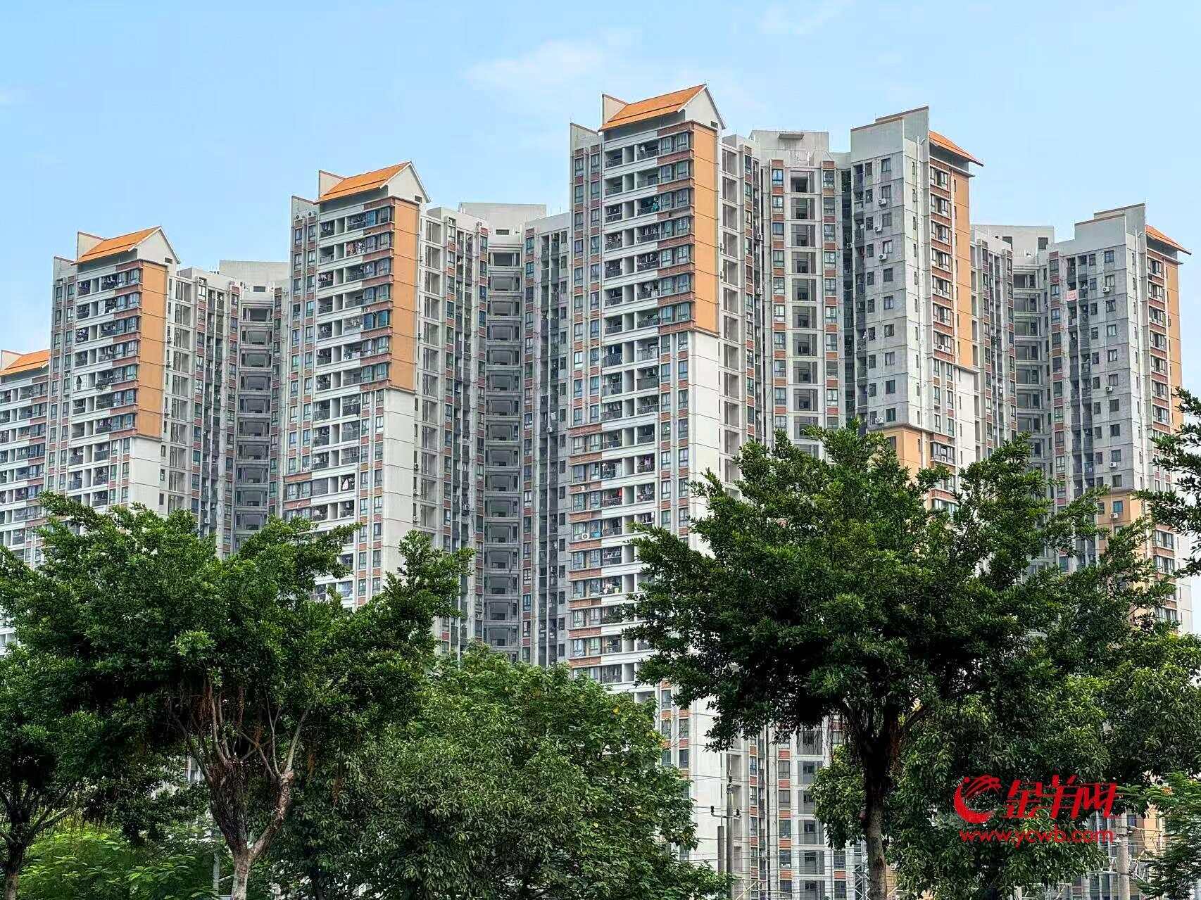 量价齐升！毕业季催旺广州租赁市场(图4)
