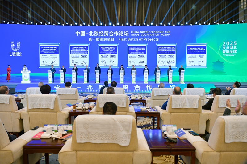 以支点智链全球2025中国—北欧经贸合作论坛开幕(图3)