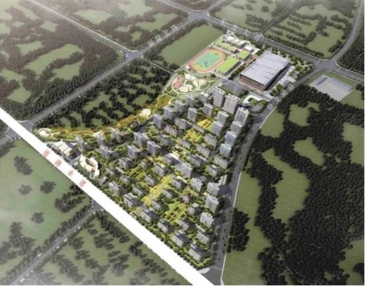 【新盘】合肥新站区楼盘-售楼处发布：主城顶豪改善标杆启幕(图4)